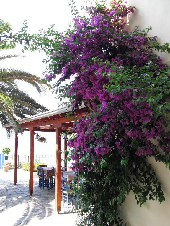 מולה קליבה Kangaroo Hotel מראה חיצוני תמונה